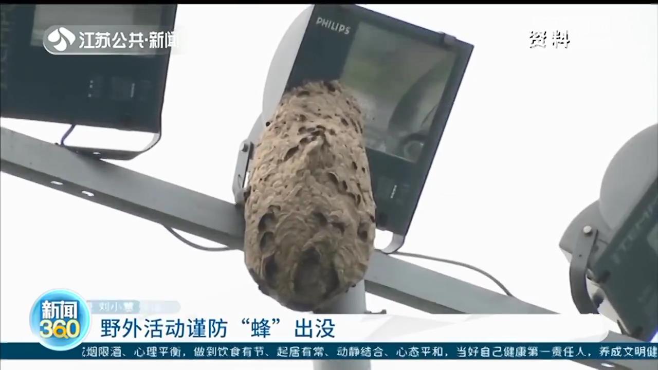 90后宝妈摘栗子碰到马蜂窝 全身被蜇了70多口，不幸身亡