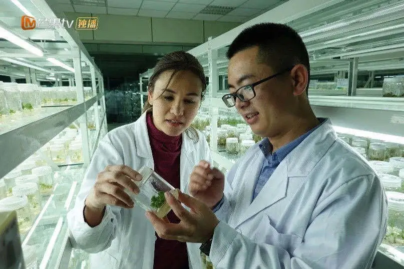 中国故事海外热议，《闪耀的平凡》何以成就外宣传播新样本？
