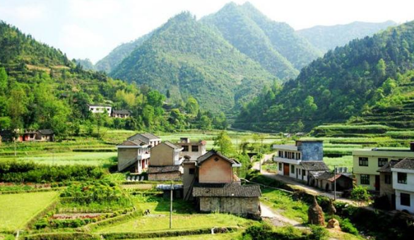 定了！今年起，农村这四种宅基地不能确权
