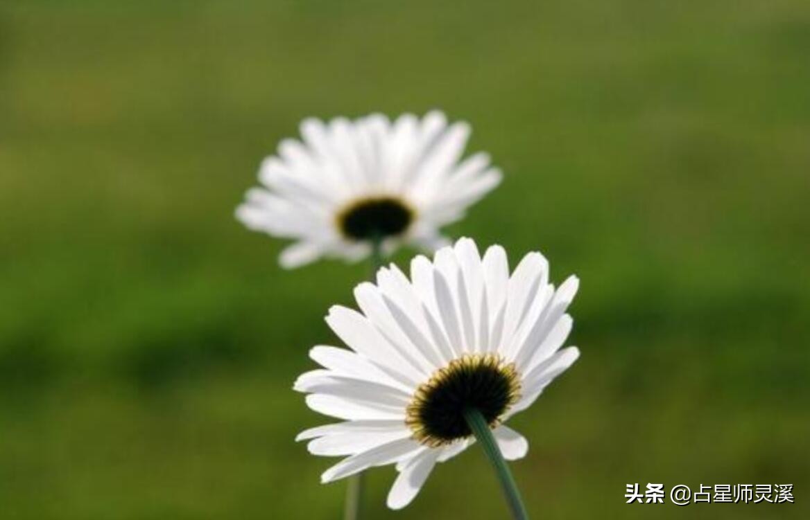 7月2日能逆风翻盘 哪些星座会获得横财机会 占星师灵溪 Mdeditor