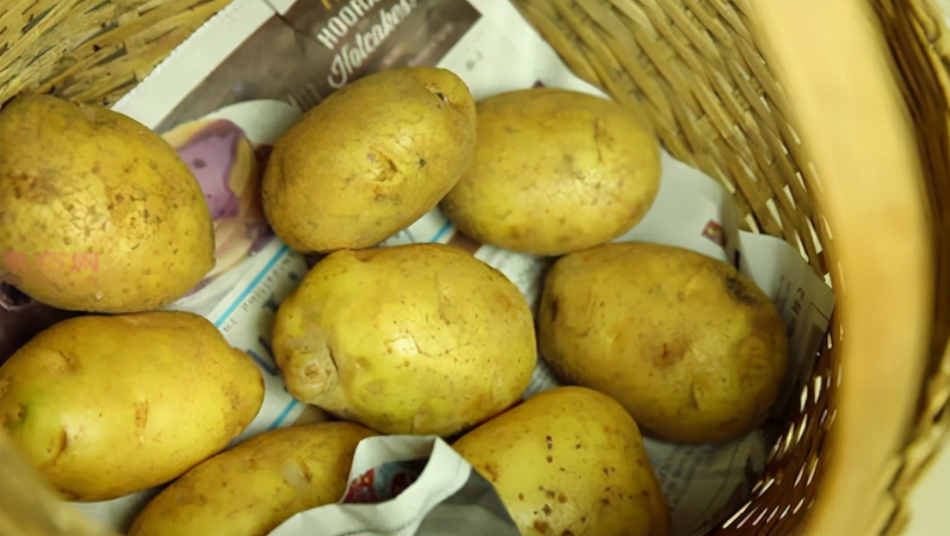 图片[6]-保存土豆方法 只需2种调料 放1年不长芽不变绿-起舞食谱网