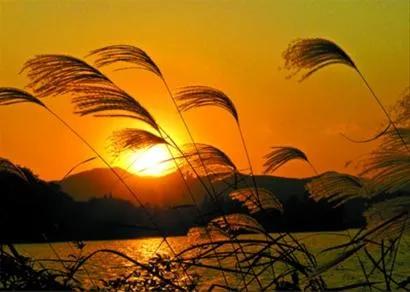 £峯һˣһ㣬һºһ