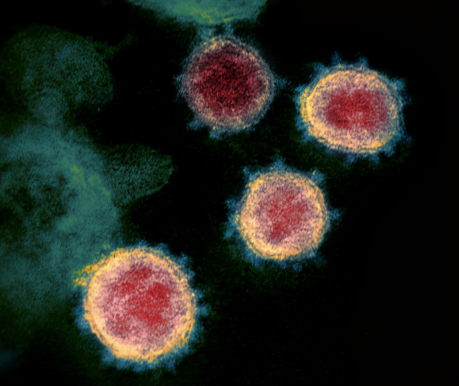 火星今年有多熱鬧、阿爾茨海默藥物能否獲批？科學家都安排上了