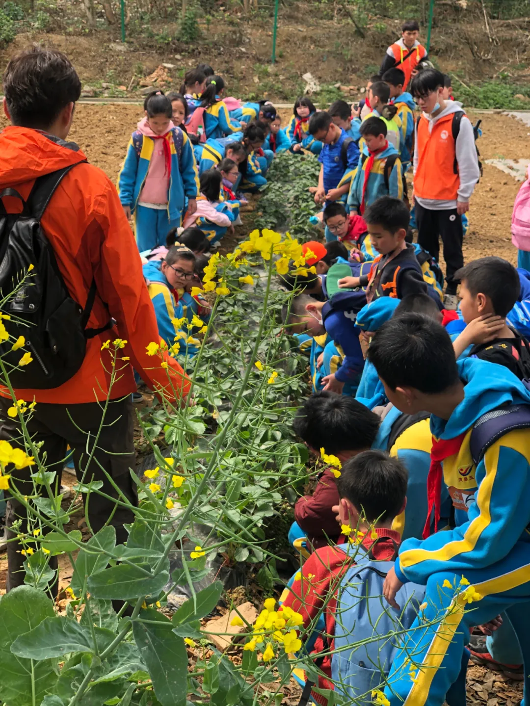 享农趣、觅农情,成都市龙泉驿区第五小学校“农耕”文化节来袭