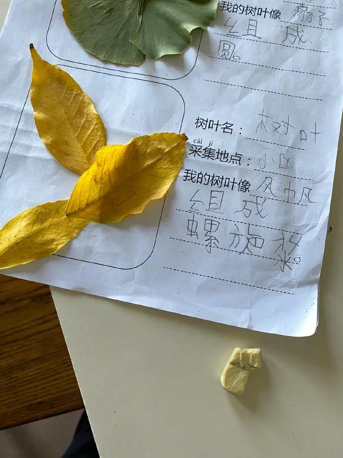 那些�氣死人�的孩子，寫作業時到底在想個啥？