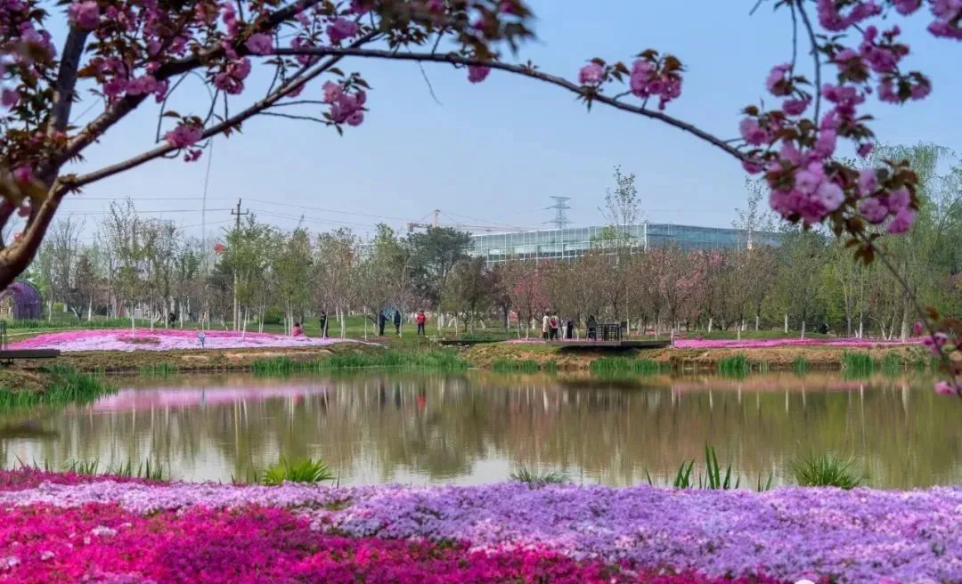 醉美人间四月天!这是济南章丘的四月美景