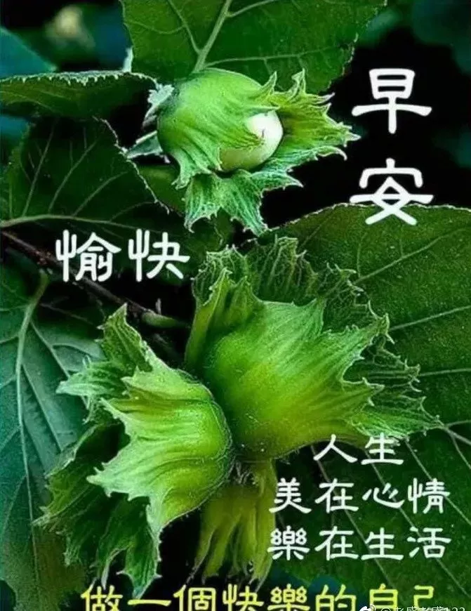 微信早晨好图片动画大全 早上好问候语阳光句子图片