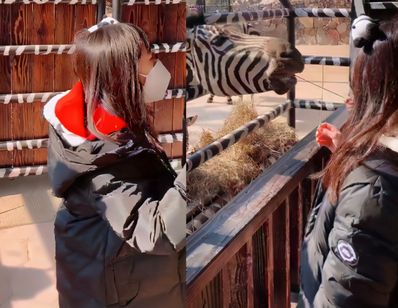 蔡少芬晒母女合照自称超模，二女儿长相酷似张晋，满满高级感
