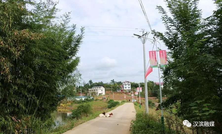 朱家湾村：从贫困村到“美丽家园”