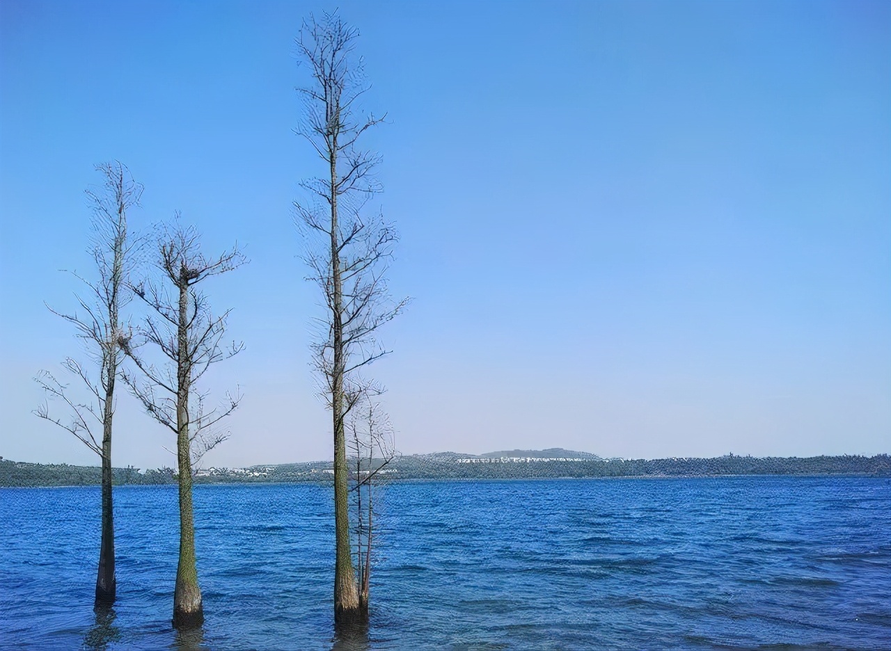 全世界仅有两个，16万年前形成，8大未解的谜团至今无人破解