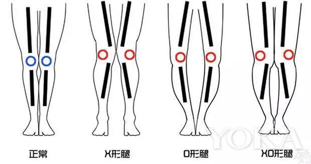 维生素D3的正确用法用量及其在人体中发挥的重要作用