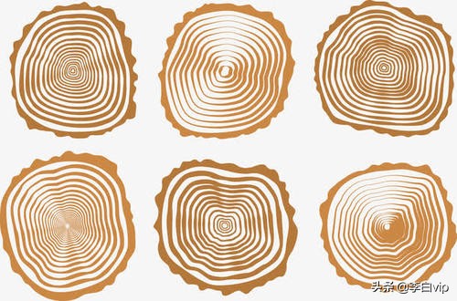 全自动引流？一天爆粉1000+？别冲动，时来运营为你揭秘真相