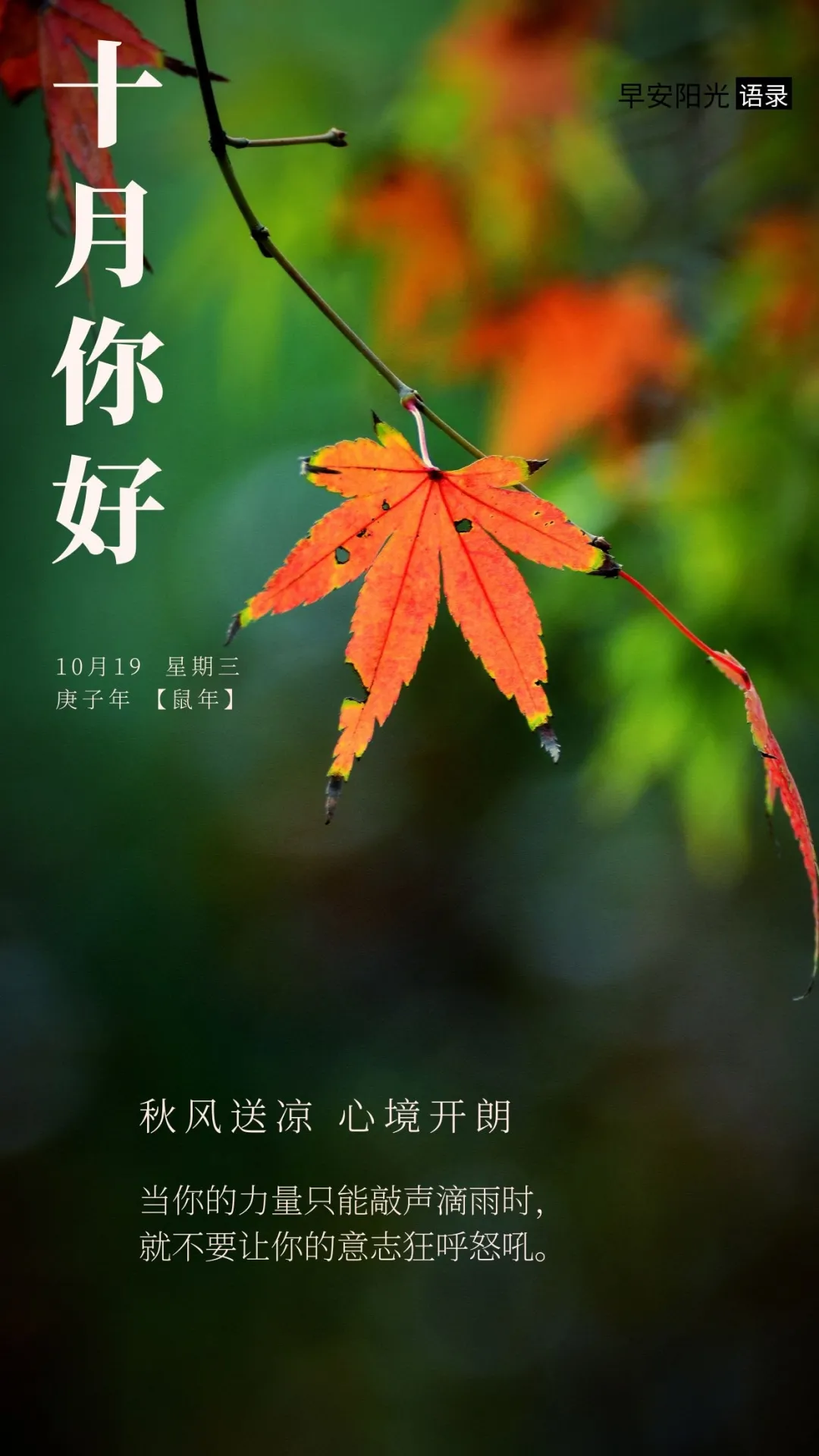 人活着要开心经典语录 怎么开心怎么活经典句图片