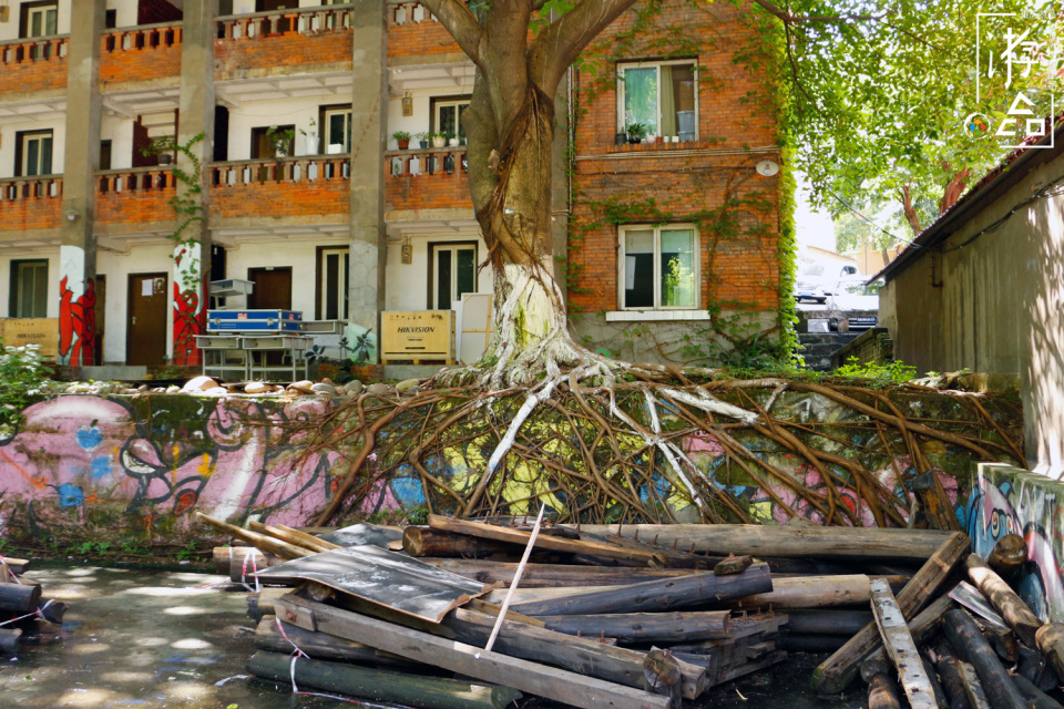 重庆旅行攻略：喝茶看熊猫，欣赏艺术还能吃蹄花汤，这完美的一天