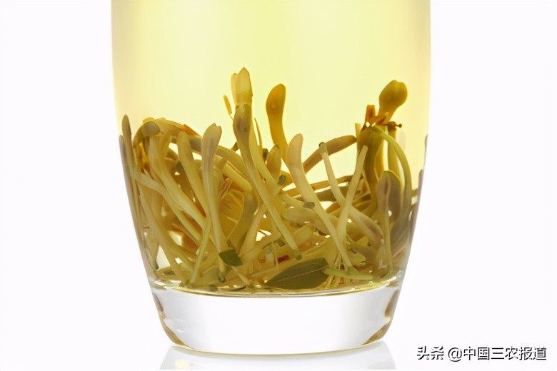 小暑來了，三伏天還會(huì)遠(yuǎn)嗎？這幾種降暑茶，伴您清涼度夏