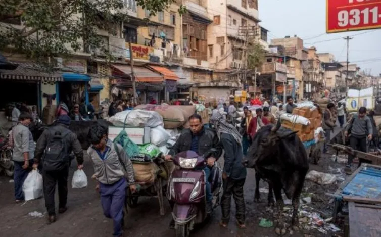 印度街头实拍：超过60000头神牛在街头流浪，吃垃圾为生