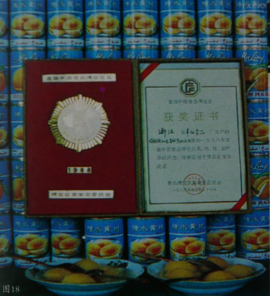 宁波奉化老照片：食品厂，奉港中学，惠政西路，迎春商场，服装城