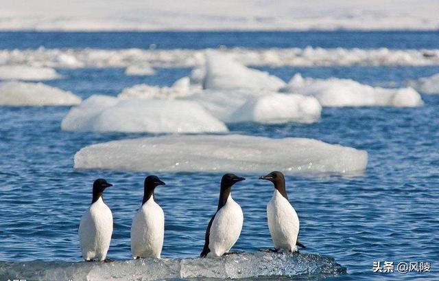 被中国遗忘70年宝地：93年前“强塞”给中国，现如今世界各国眼红