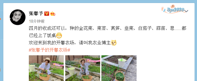 Zhang Xin grants: Brave the wind and waves at the same time, at the same time Gui Yintian changes field personally " vegetable grower " kind 7 kinds of season are vegetable