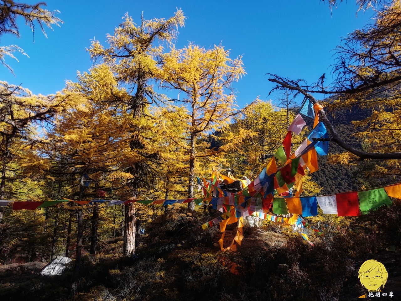 The golden autumn is here again, if you want to go to Aden, Daocheng, you should set off
