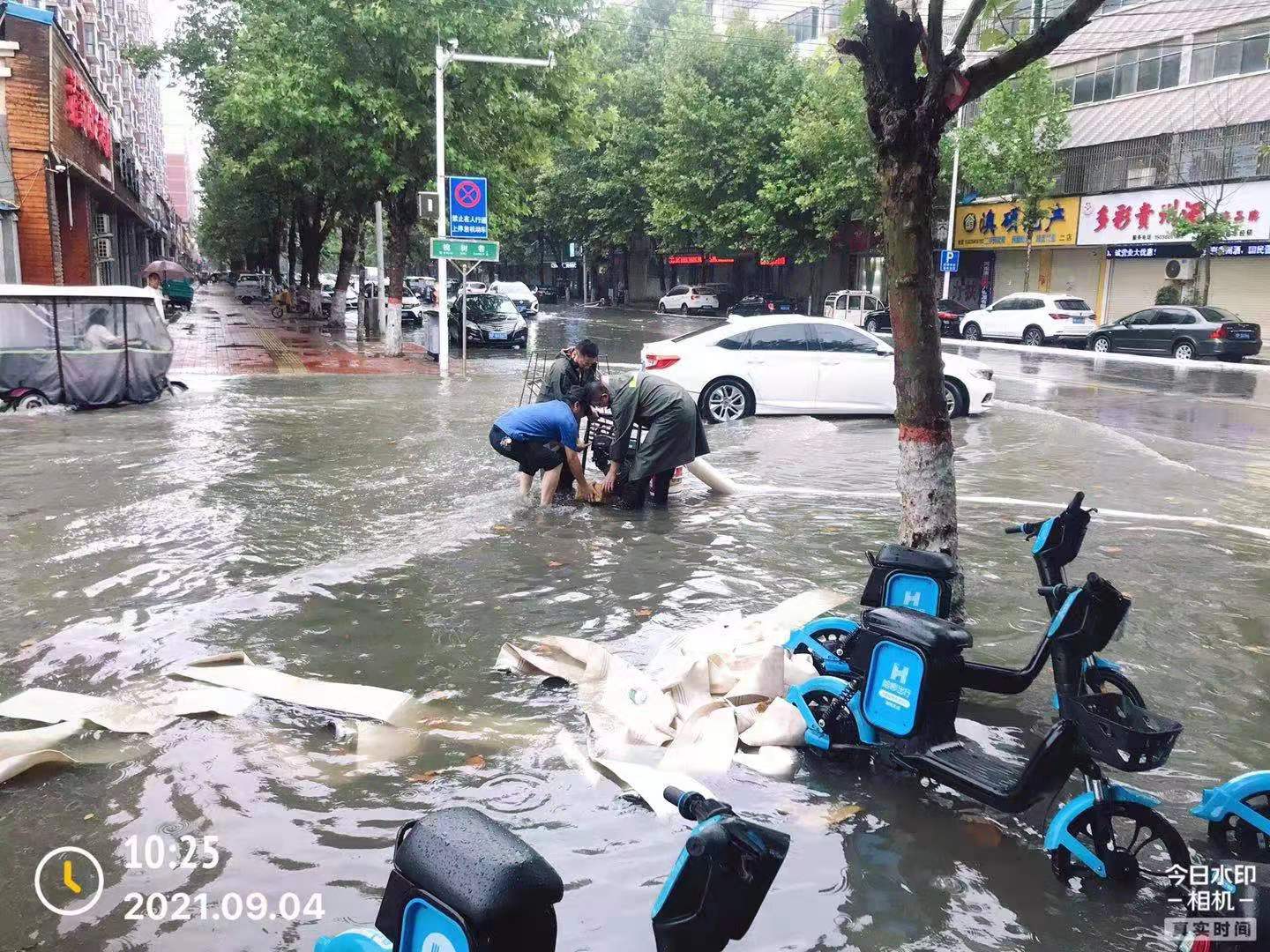 |直击鹿邑防汛一线