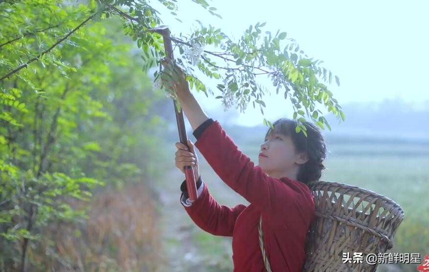 李子柒年薪1.7亿，她选另一半得会挖地！网友：竞争对手太多了