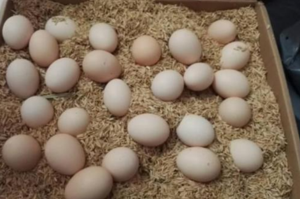 图片[7]-挑选新鲜鸡蛋的方法做法步骤图 牢记2点不被忽悠-起舞食谱网