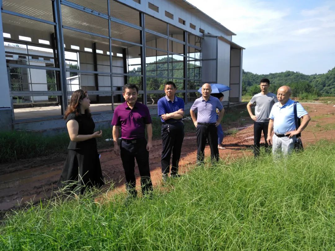 向守清深入麻阳督办代表建议办理工作