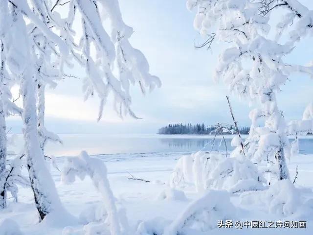 一念冬安、静待雪花飘