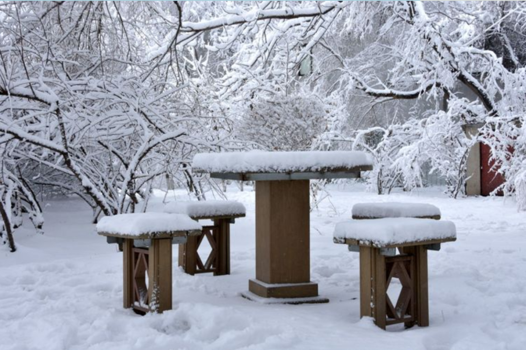 遇见最美的冬天，遇一场雪，在最美的诗词里遇雪-第20张图片-诗句网