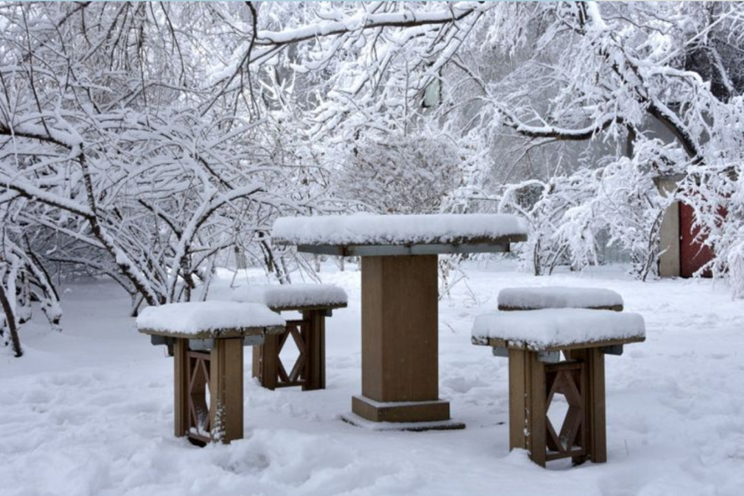 遇见最美的冬天，遇一场雪，在最美的诗词里遇雪-第20张图片-非凡网