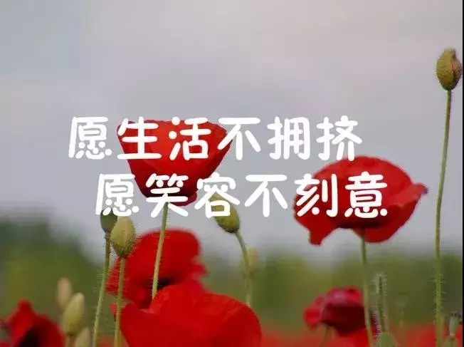 适合自己发说说的心情句子，总有一句深同感受