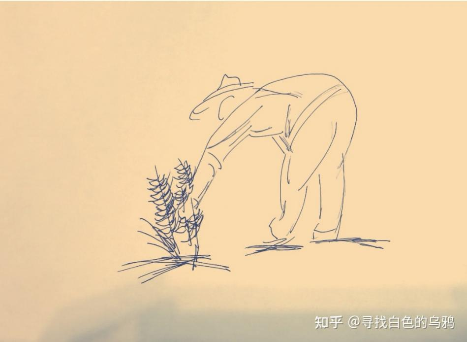 你在种小麦吗？不，我在进行一场修行452 / 作者:UFO爱好者 / 帖子ID:69717