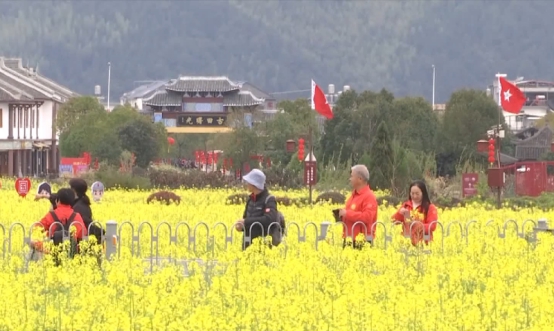 福建省上杭县：古田景区千亩油菜花竞相绽放