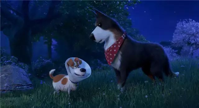 猫奴狗奴的狂欢,《爱宠大机密2》猫狗满天飞