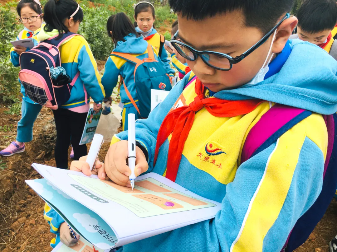 享农趣、觅农情,成都市龙泉驿区第五小学校“农耕”文化节来袭