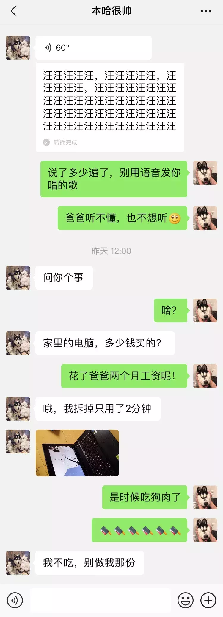 笑屎了！這些狗狗的聊天記錄，承包了我一周的笑點