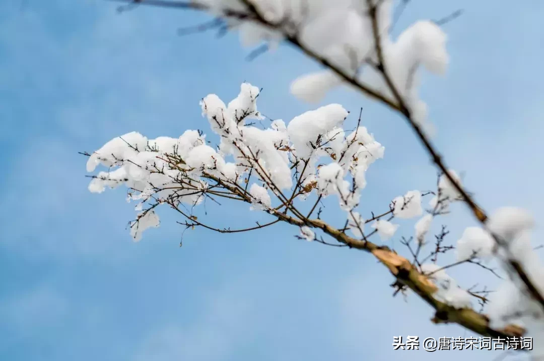 十首冬日诗词-第8张图片-诗句网