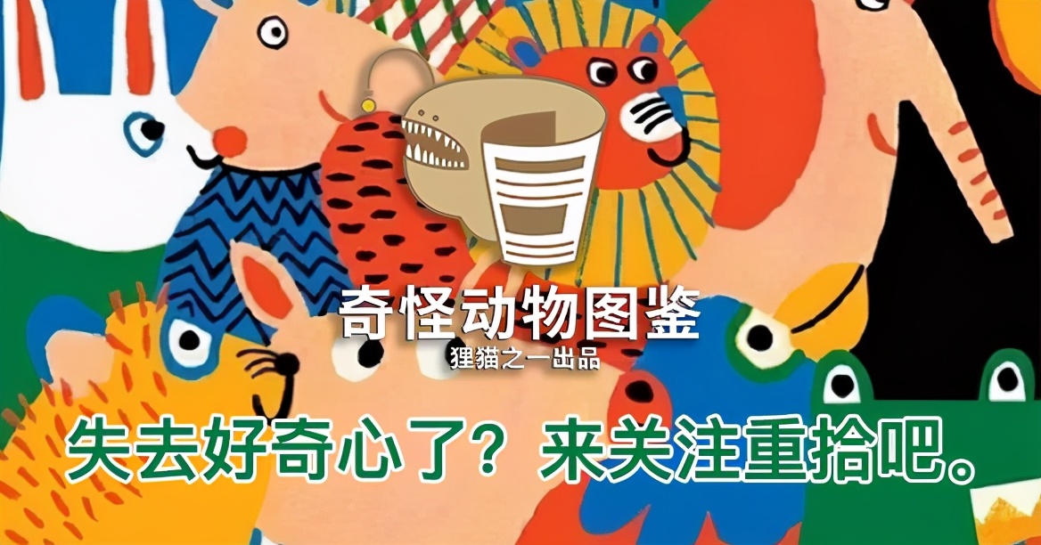 為什麼魚死了都不閉眼 那它們怎麼睡覺 魚類的視力怎麼樣 資訊咖