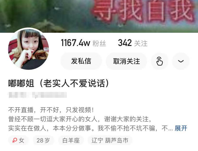 网红嘟嘟姐退网怎么回事，与男友分手原因吗？