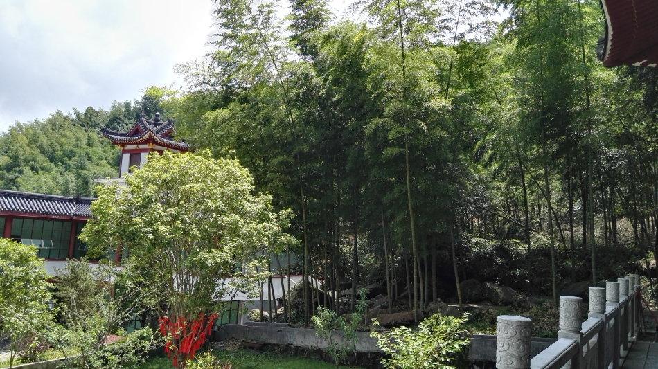 崇义：赣南山区一颗绿色明珠 