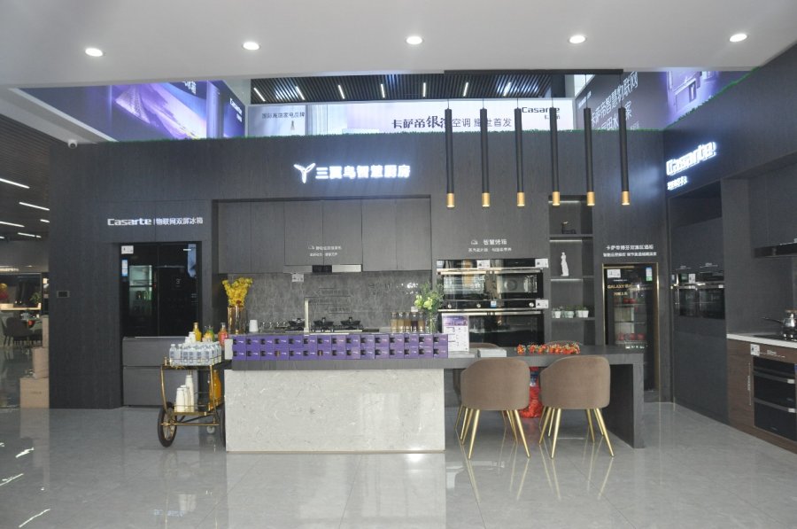 換道場景再提速！三翼鳥卡薩帝001號店錦州開業
