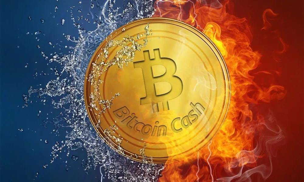 揭秘“比特币”鲜为人知的故事。