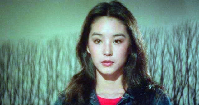 亦舒眼中的美人，李嘉欣获8字评价，利智潘虹意