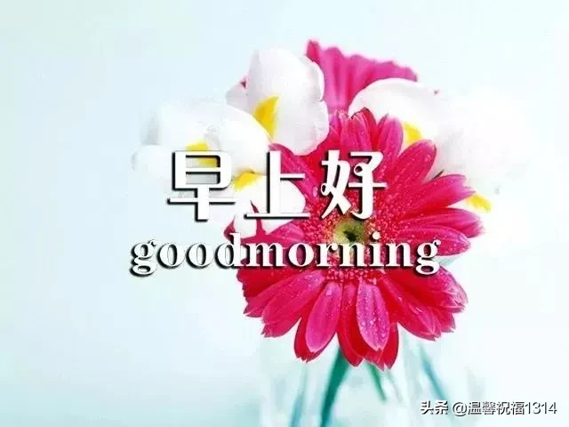 关心的早上好祝福语大全 早上好问候图片和文字图片