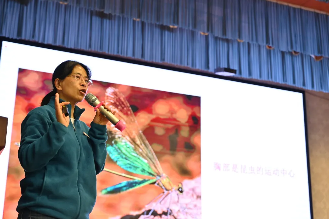 271教育丨科技节,带你感受云南农大附中的“科技范儿”