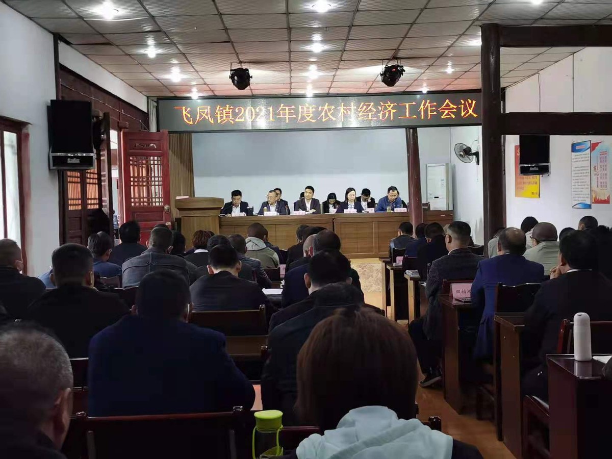 阆中市飞凤镇召开2021年农村经济工作会