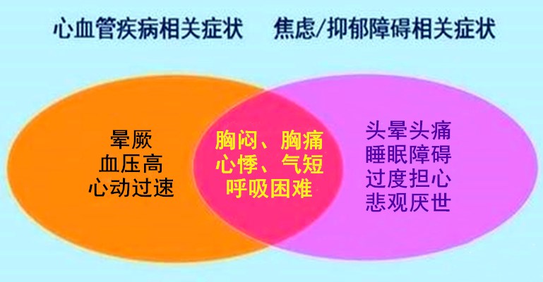 抑郁焦虑和心血管病走得有多近？“三问法”初筛一下