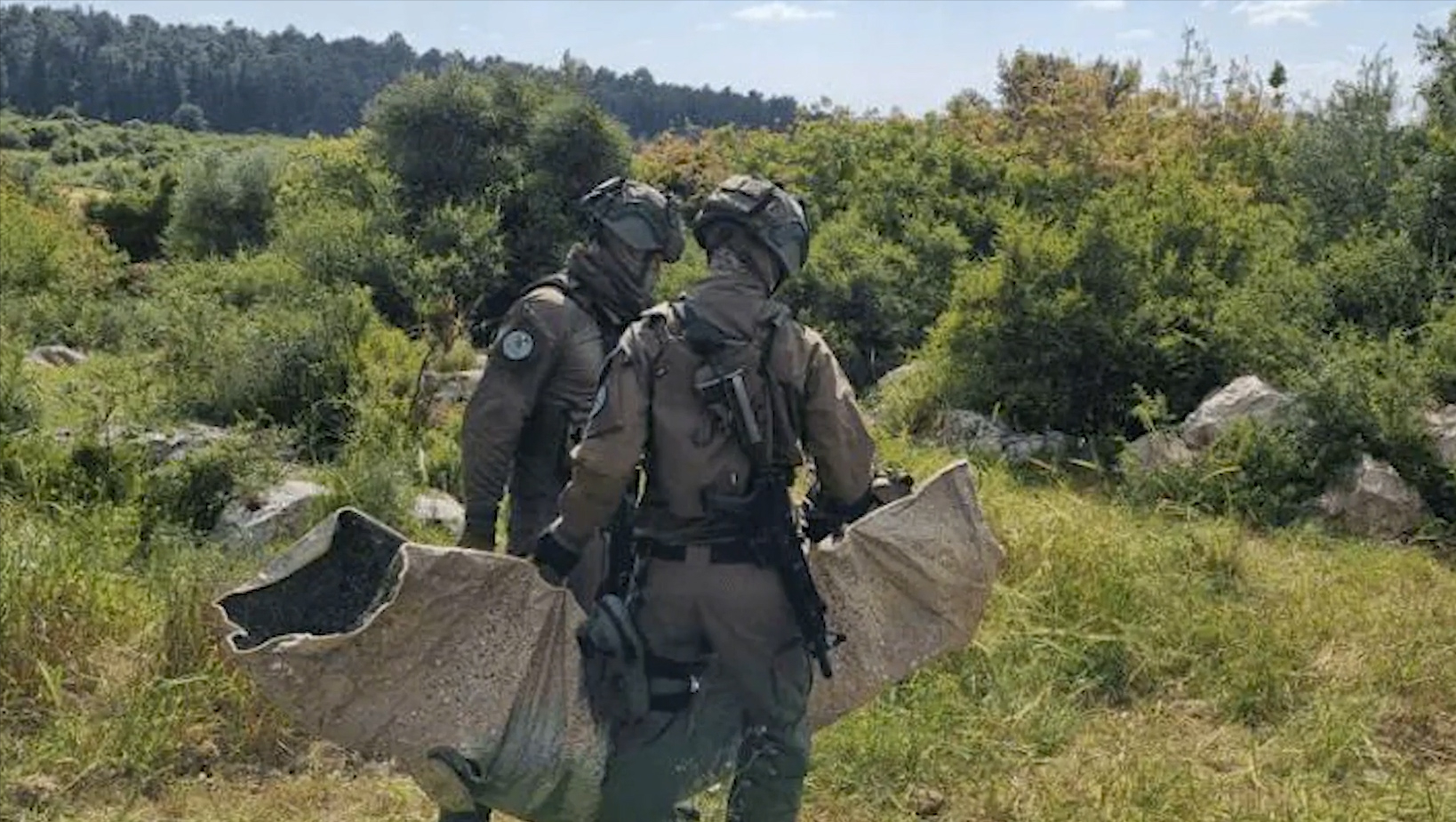 ��ɫ�����������������Ͼ���Ѹ�������������˶Դ˱�ʾ��Ľ����