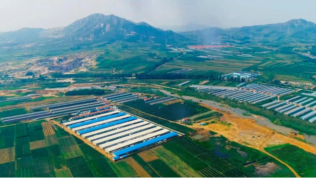 穿越养殖周期的力量：多元化为新希望成长构筑多重基石 公司 第1张